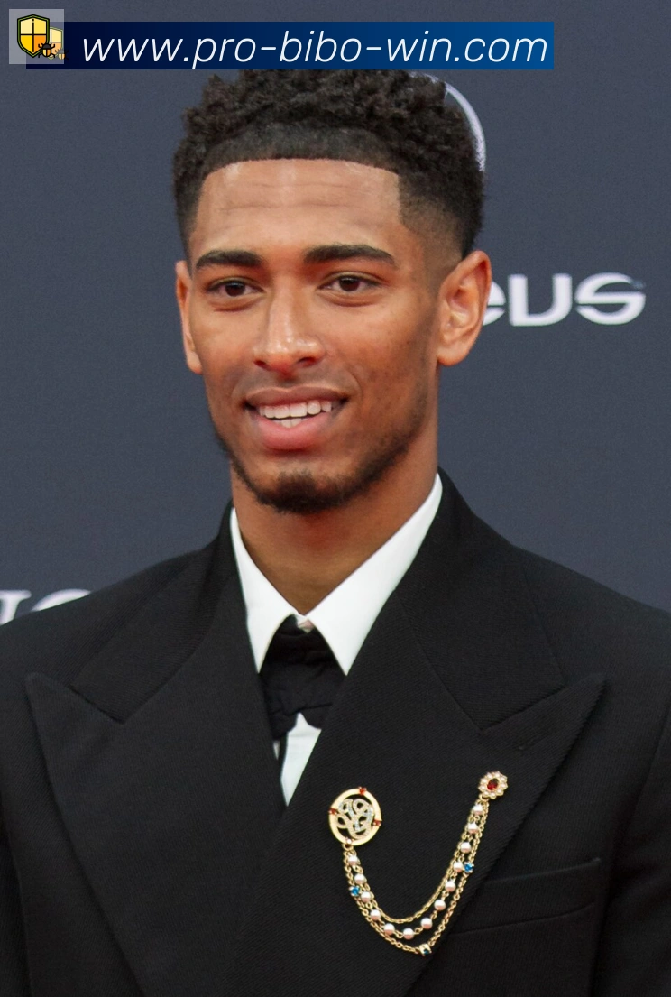 维尼修斯